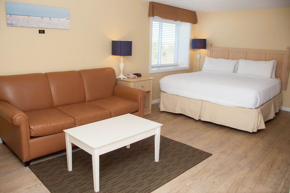 Studio, 1 Queen Bed with Sofa bed
