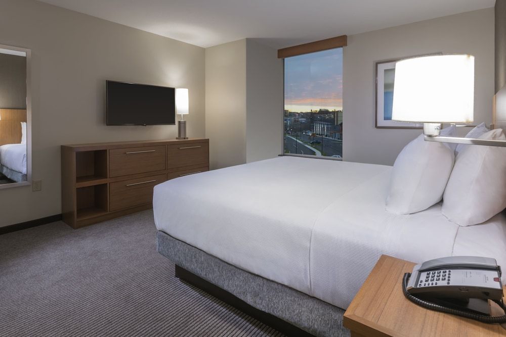 Suite, 1 King Bed with Sofa bed