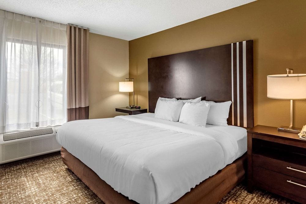 Business Suite, 1 King Bed