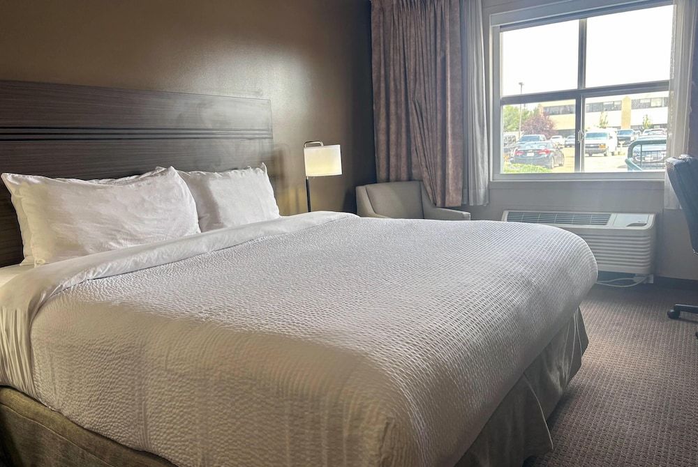 Room, 1 King Bed, Non Smoking
