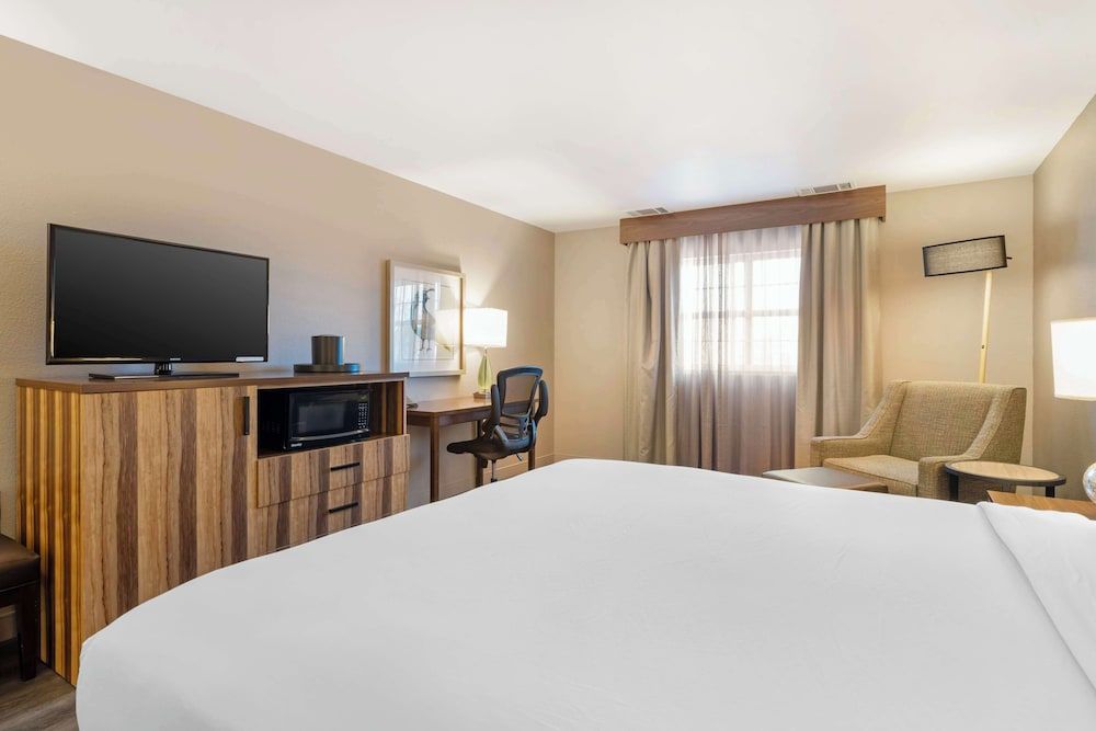 Standard Room, 1 King Bed, Non Smoking, Refrigerator & Microwave