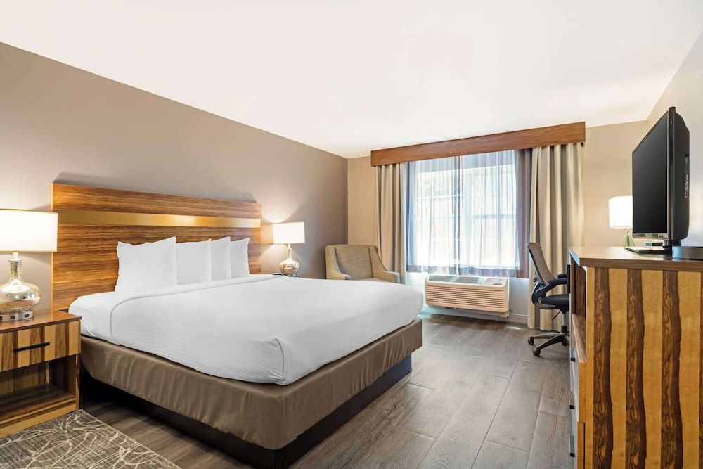 Standard Room, 1 King Bed, Accessible, Non Smoking