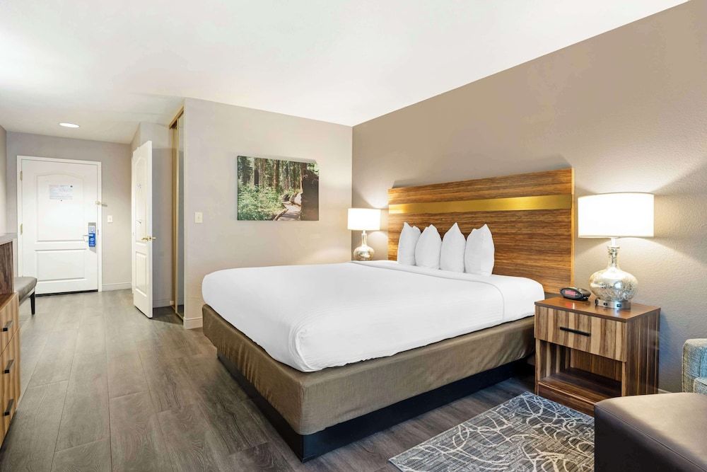 Standard Room, 1 King Bed, Accessible, Non Smoking