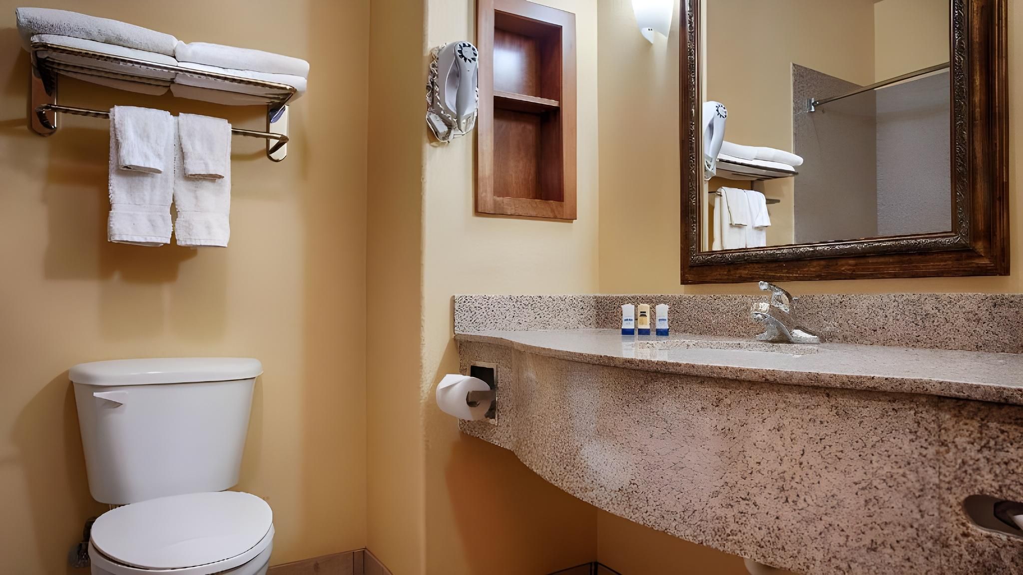 Accessibility - 1 King, Roll-in Shower, Nonsmoking