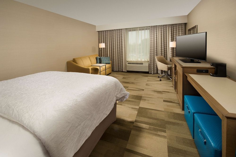 Room, 1 King Bed with Sofa bed, Accessible