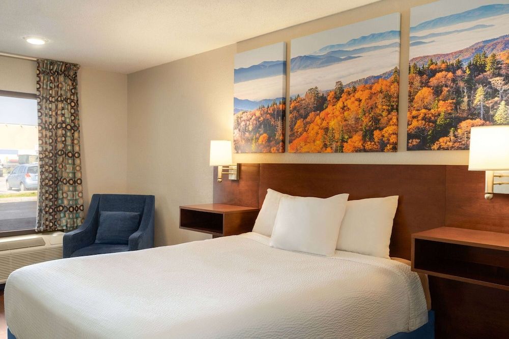 Room, 1 Queen Bed, Refrigerator & Microwave