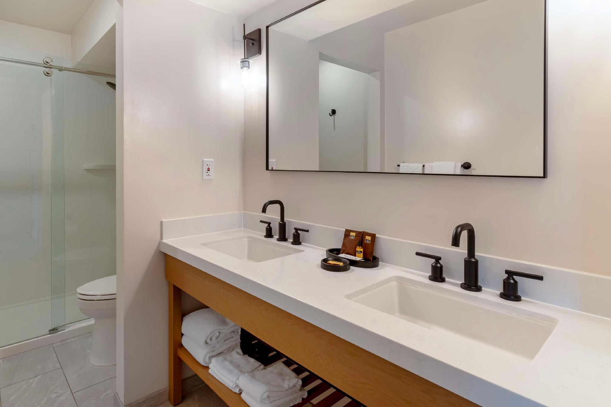 1 King Bed, Nonsmoking, Interior Entrance, Sofabed, Walk-in Shower