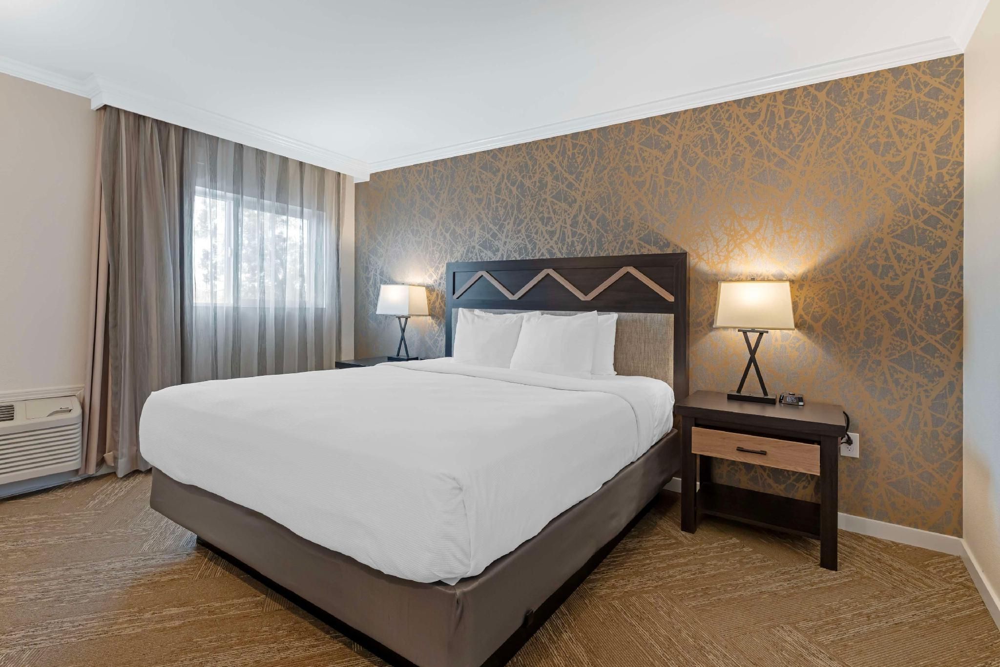 1 King Bed, Nonsmoking, Interior Entrance, Sofabed, Walk-in Shower