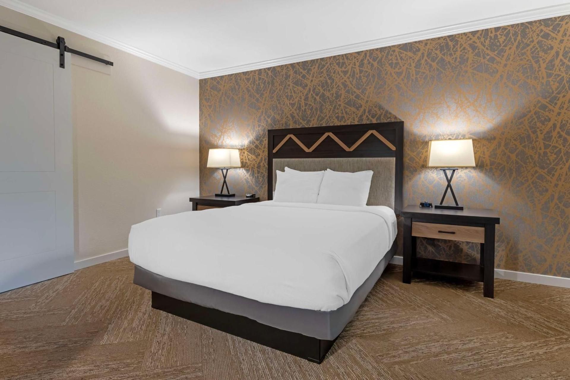 Queen Room with Roll-In Shower - Mobility Accessible/Non-Smoking