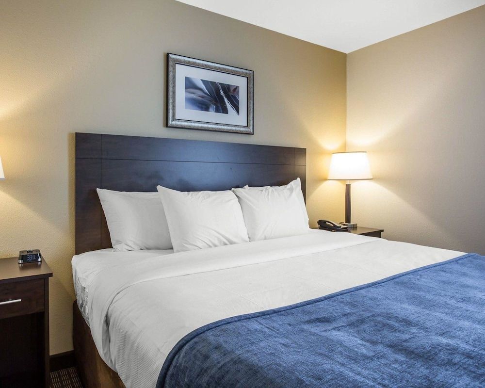 Suite, 1 King Bed with Sofa bed, Non Smoking