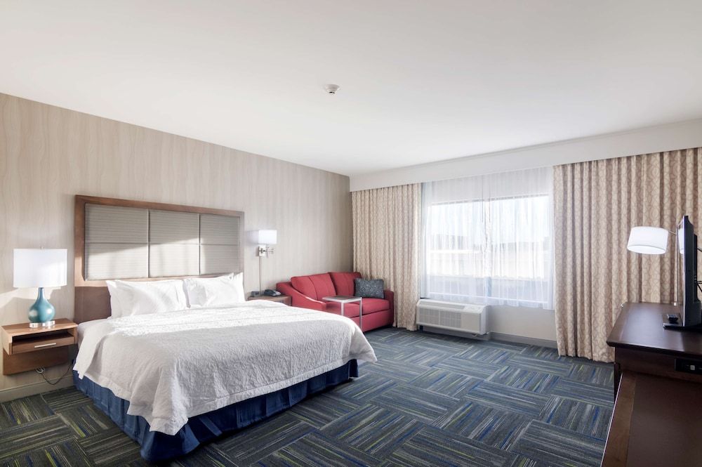Room, 1 King Bed, Accessible, Bathtub (Mobility & Hearing)