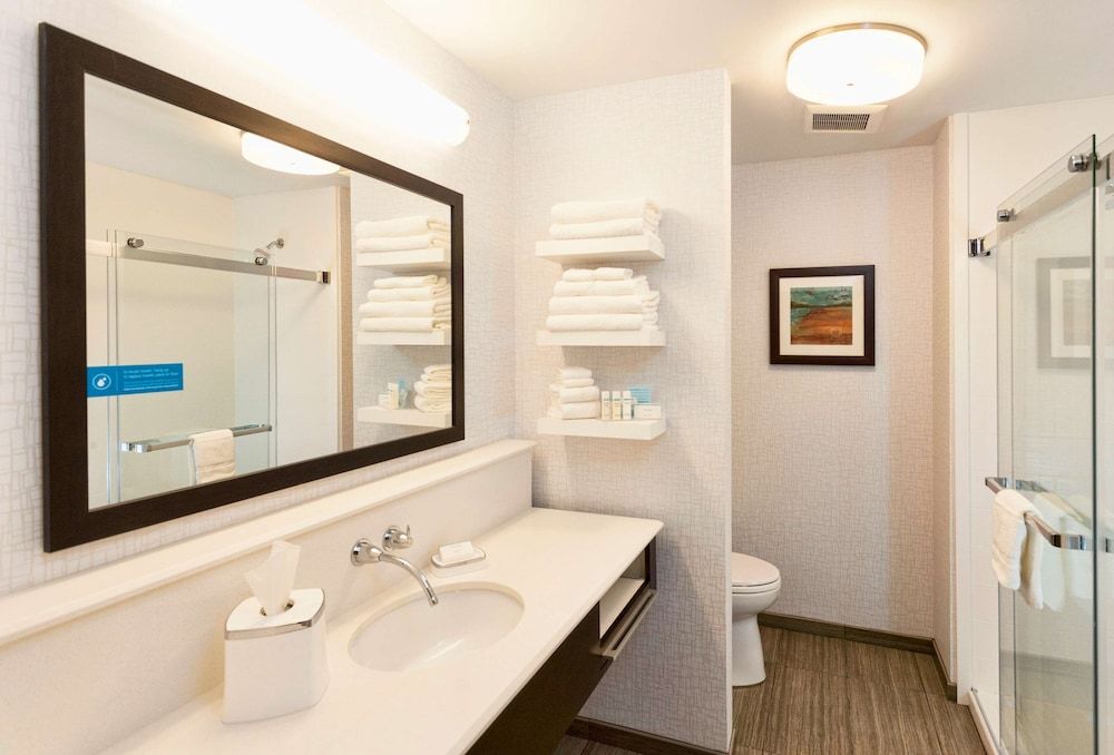 Room, 1 King Bed, Non Smoking, Refrigerator