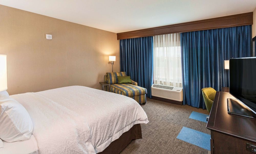 Room, 1 King Bed, Non Smoking, Refrigerator