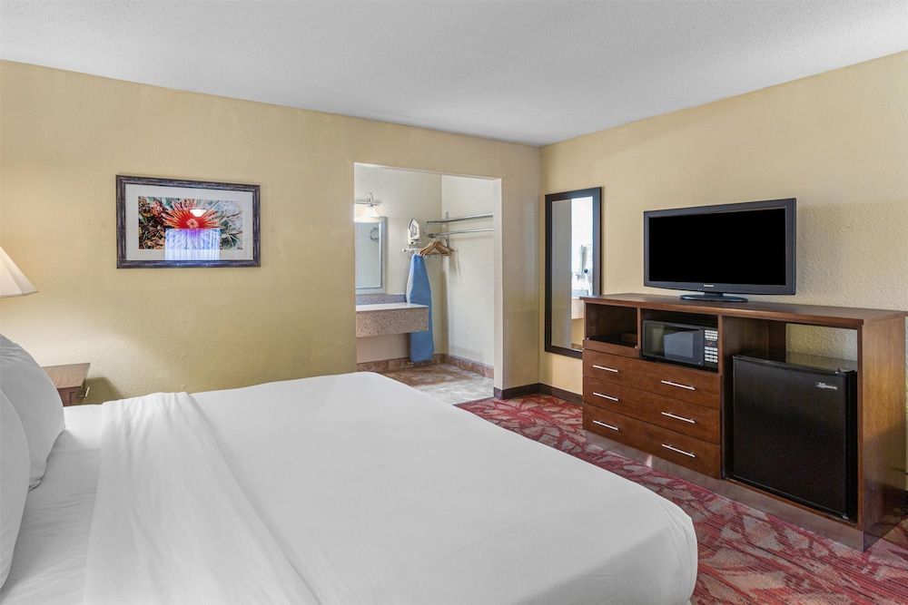 Best Western Pine Springs Inn Suite, 1 King Bed, Non Smoking, Refrigerator & Microwave (with Sofabed)
