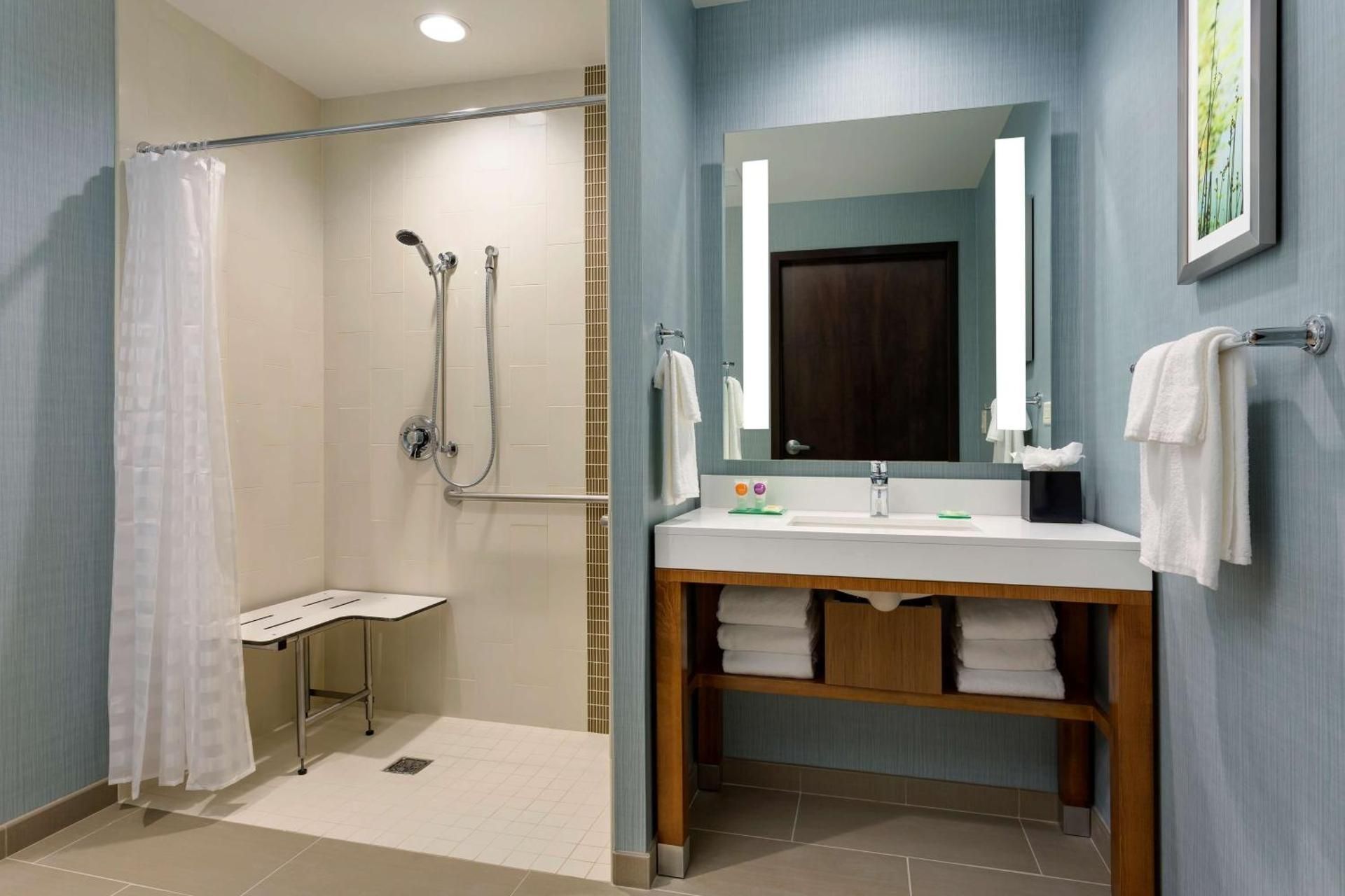 Accessible King Bed/roll-in Shower (with Sofa Bed)