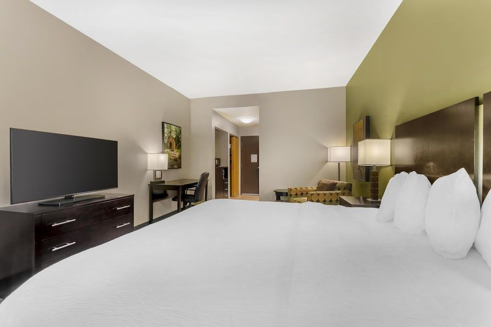 Standard Room, 1 King Bed, Accessible, Refrigerator & Microwave