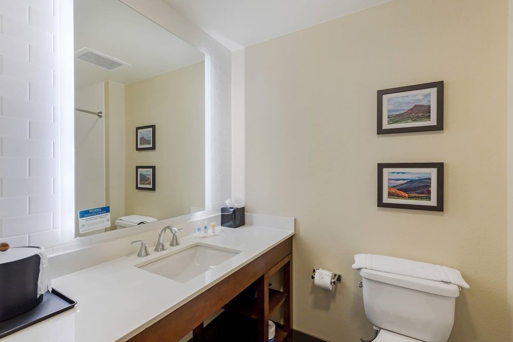 Suite, 1 King Bed with Sofa bed, Non Smoking (Shower, 2 Person Sofa Bed)