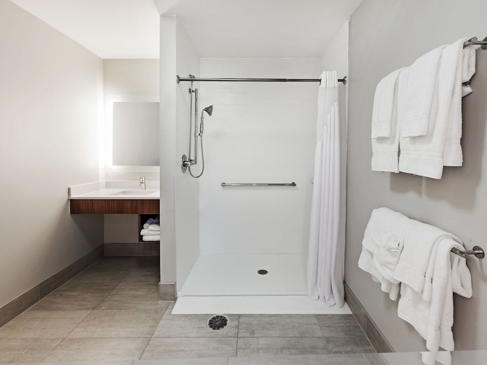 Standard Room, 1 King Bed, Accessible (Communications, Roll-In Shower)