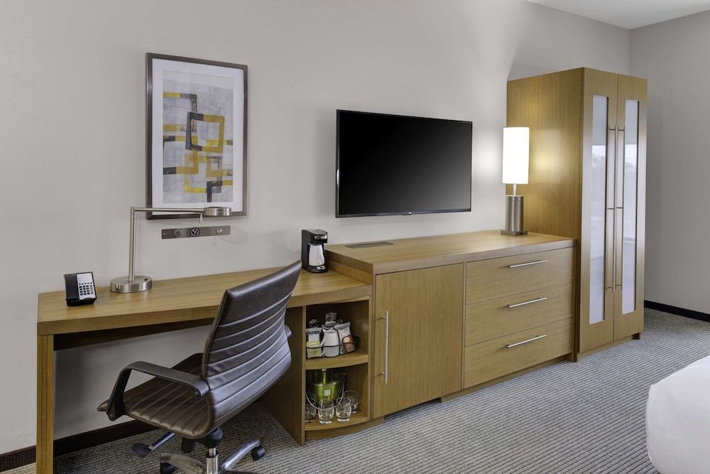 Room, 1 King Bed with Sofa bed