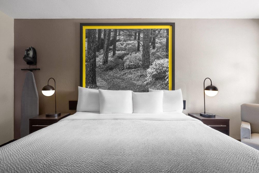 Super 8 by Wyndham Helen Room, 1 King Bed, Mobility Accessible, Non Smoking (Bathtub W/grab Bars) 3