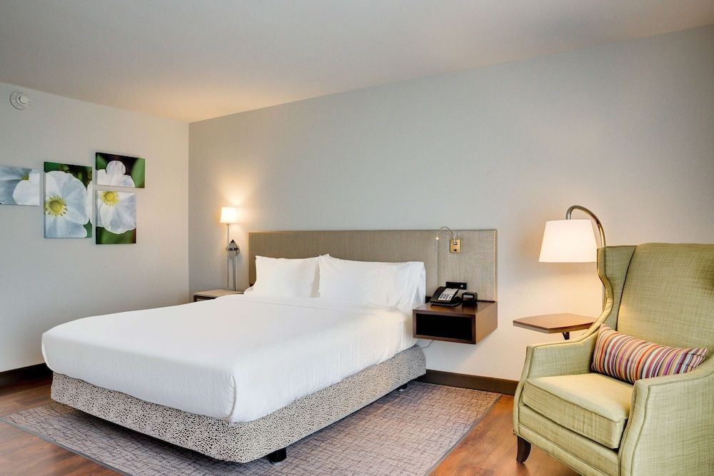 Room, 1 King Bed, Accessible