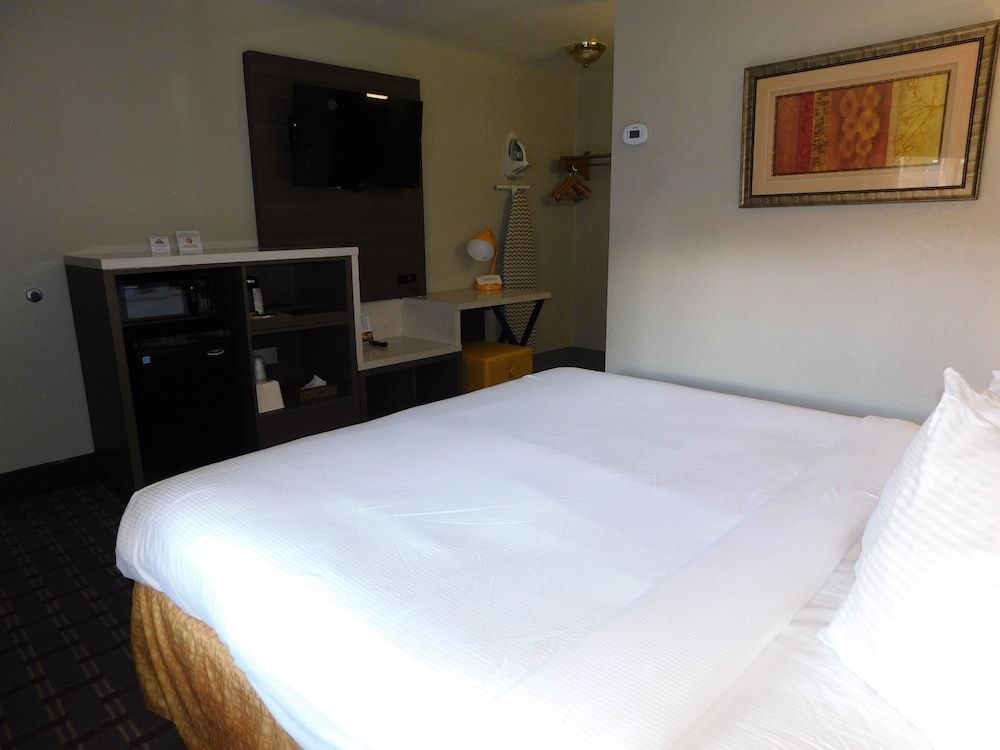 Standard Room, 1 King Bed, Non Smoking