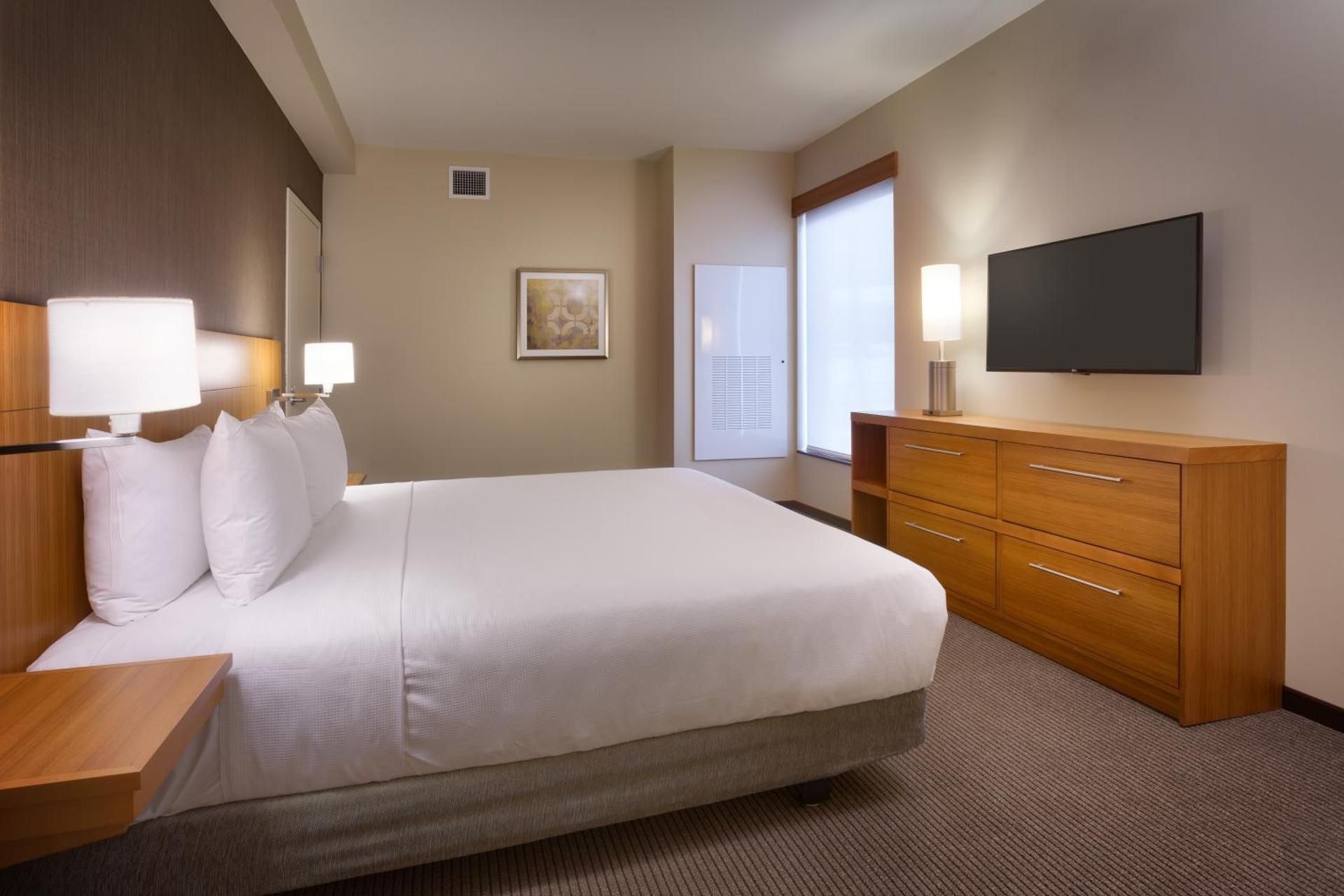 Accessible King Suite/roll-in Shower (with Sofa Bed)