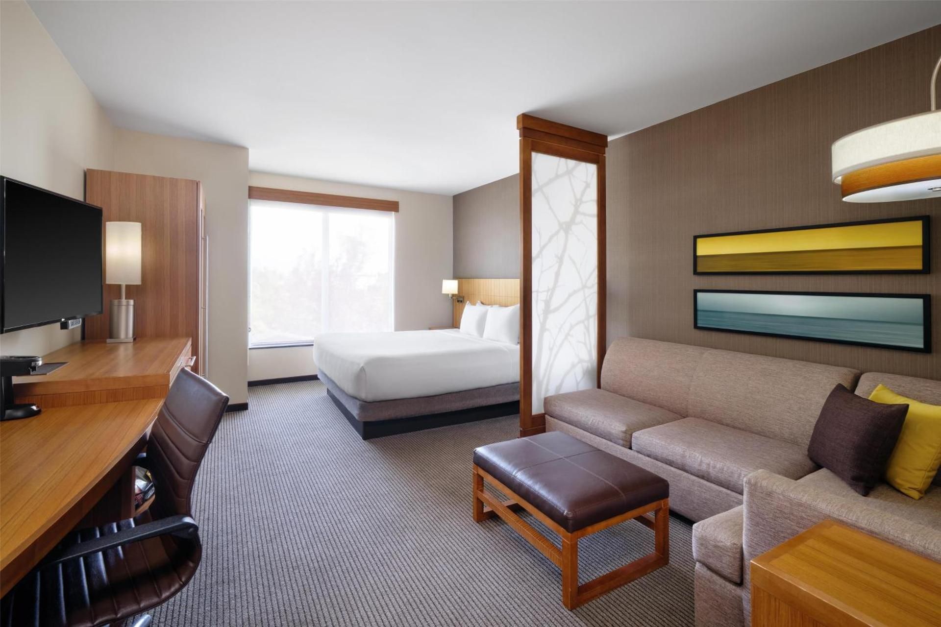 King Bed (with sofa bed)