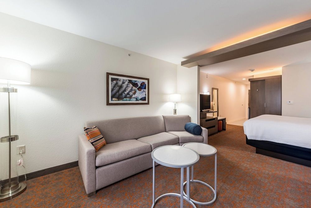 Studio, 1 King Bed with Sofa bed
