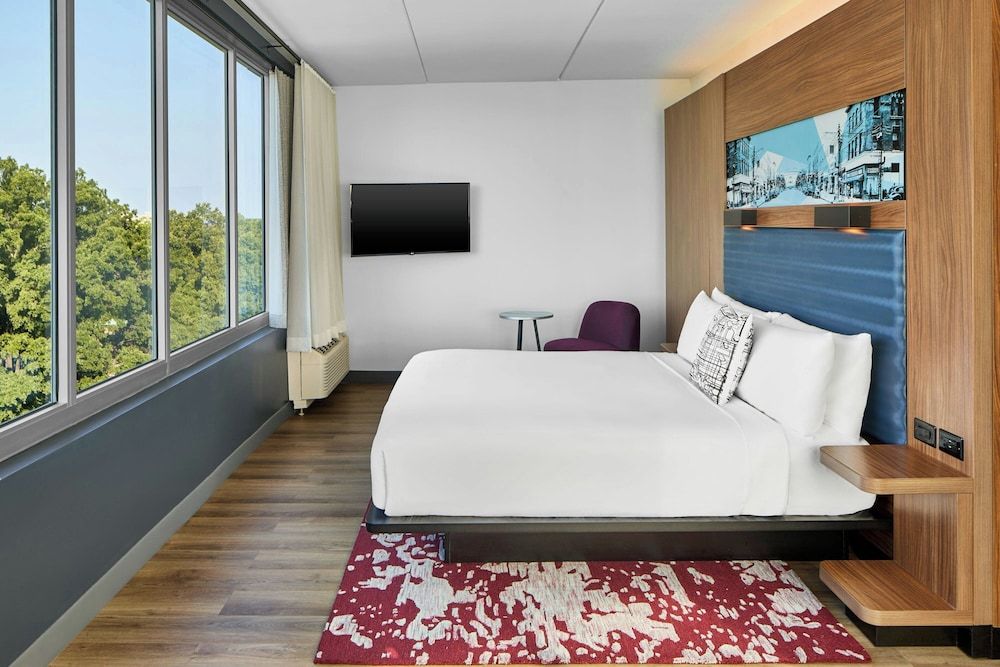 Suite, 1 King Bed with Sofa bed (View)
