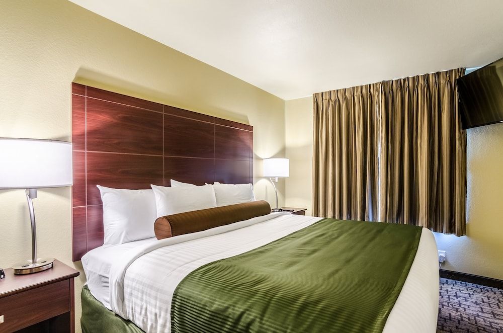 Room, 1 King Bed, Non Smoking
