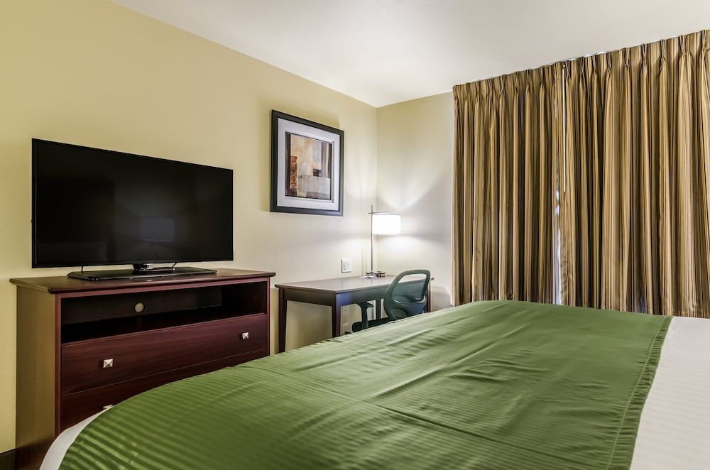 Room, 1 King Bed, Non Smoking
