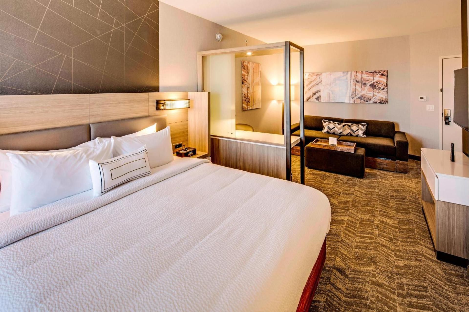 Executive Suite, 1 King, Sofa bed