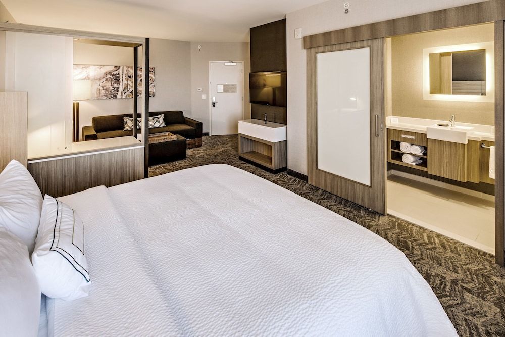Suite, 1 King Bed with Sofa bed (Mobility Accessible, Tub)