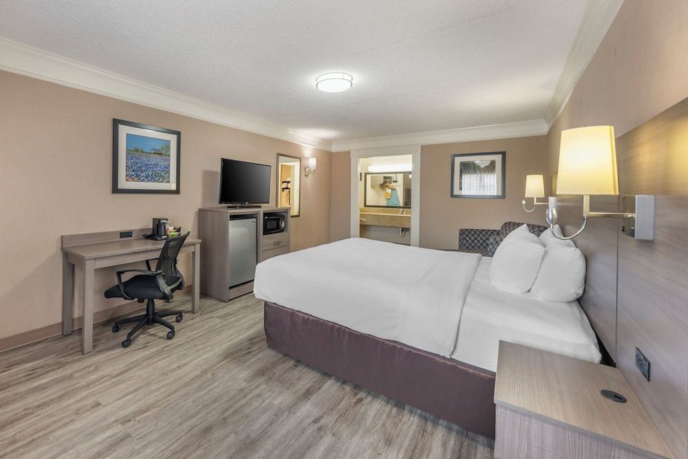 Standard Room, 1 King Bed, Non Smoking