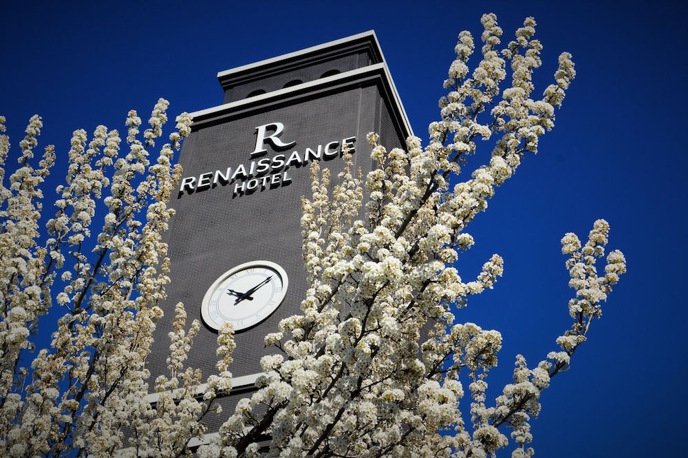 undefined Renaissance Reno Downtown Hotel & Spa 4