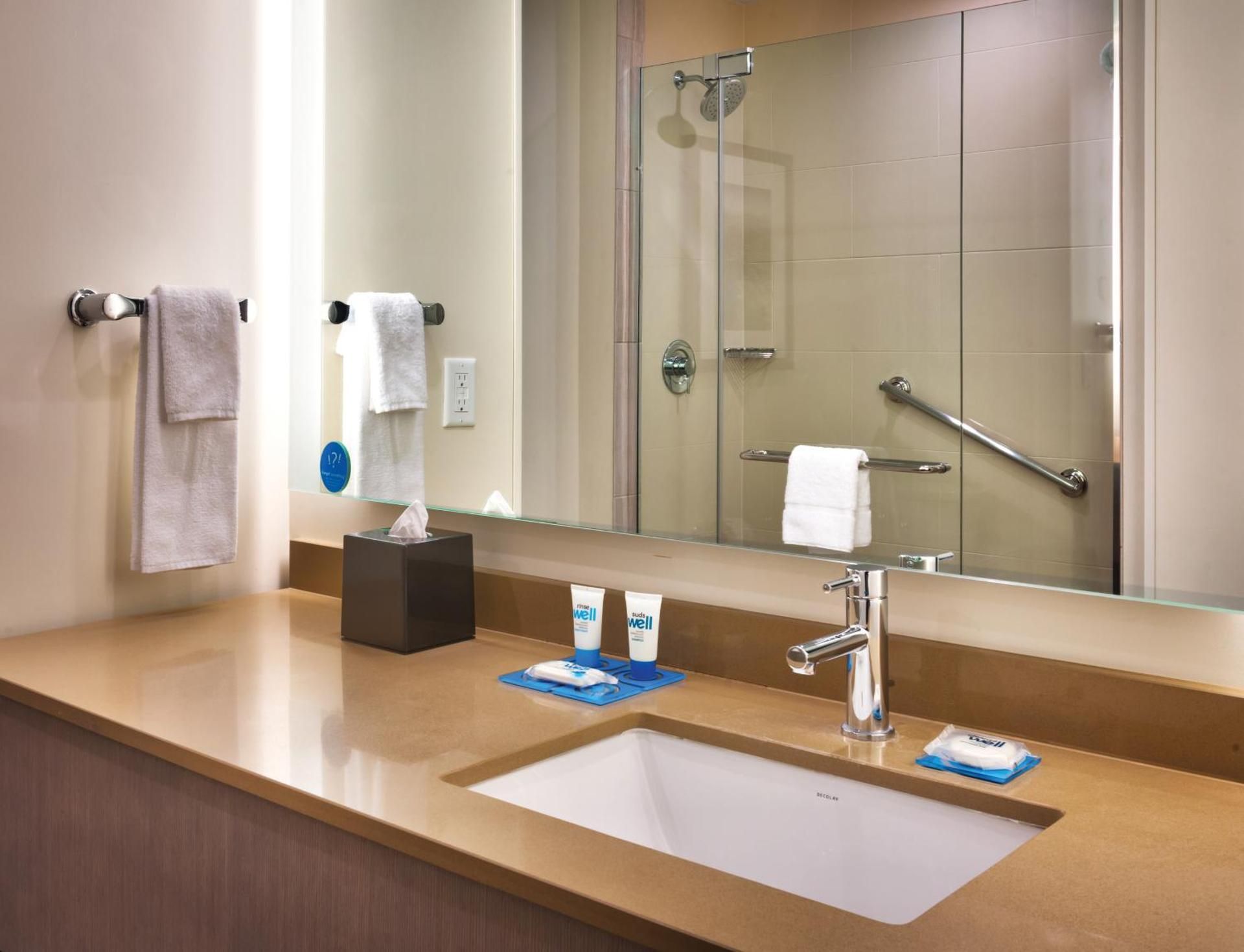 Accessible Den Guestroomrollin Shower King Bed