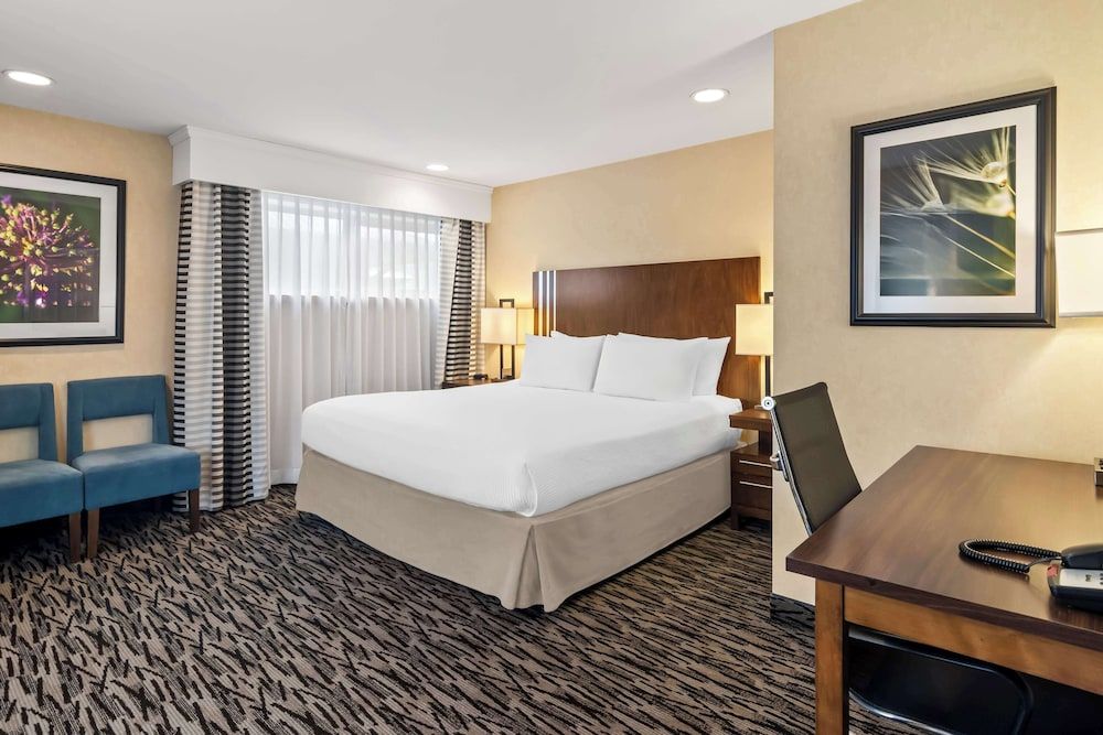 Suite, 1 King Bed, Non Smoking, Refrigerator & Microwave