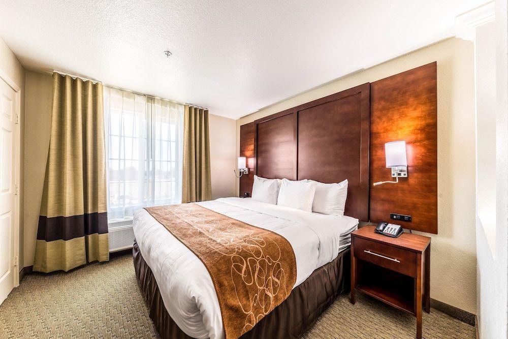 Suite, 1 King Bed with Sofa bed, Non Smoking