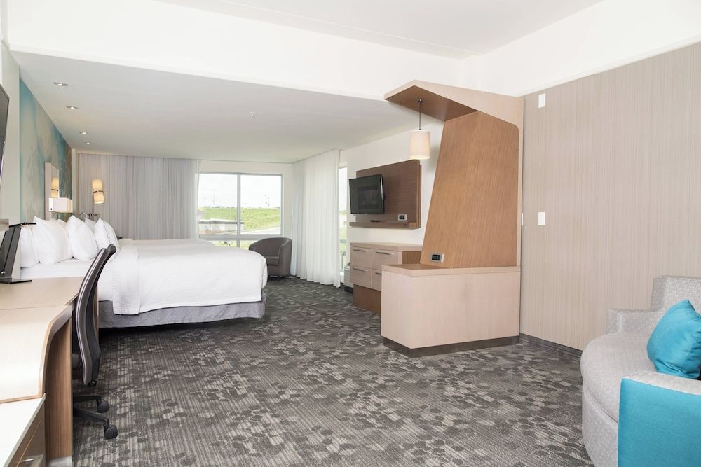 Room, 1 King Bed with Sofa bed