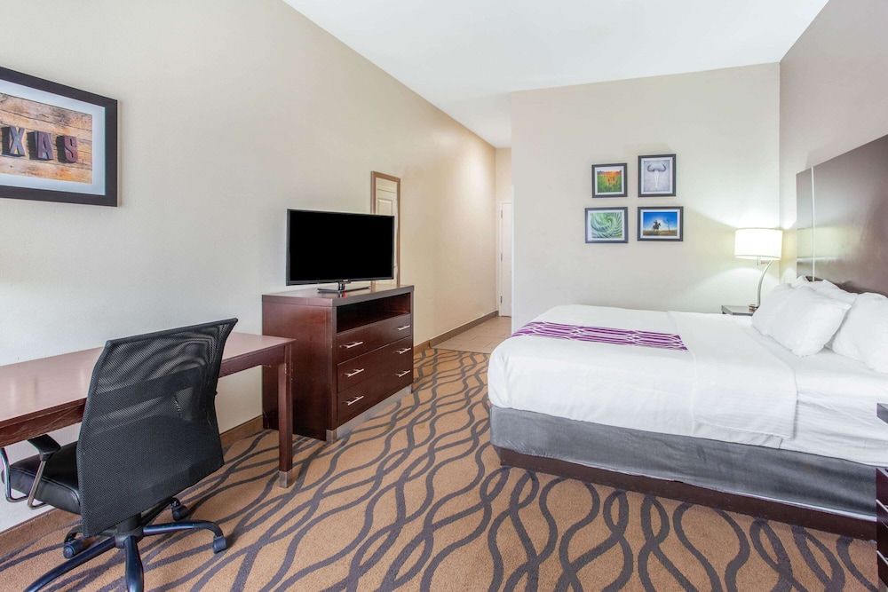 Room, 1 King Bed, Accessible, Non Smoking (Mobility Accessible)