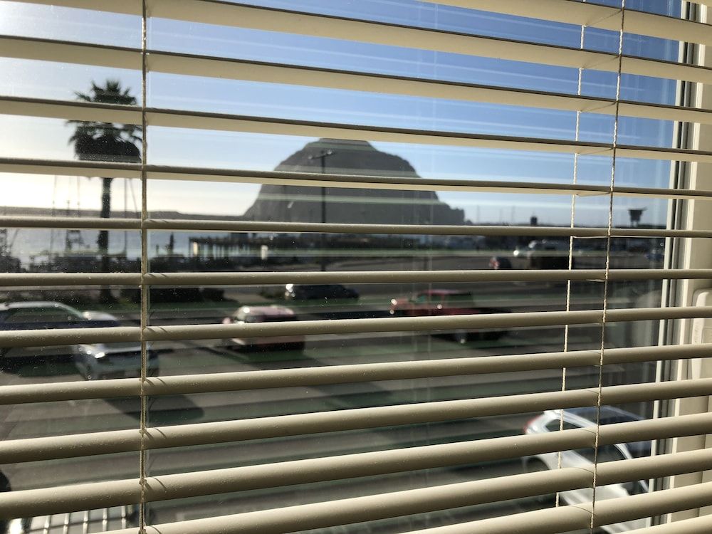 Deluxe King Patio View (Pet Friendly, Room 9)
