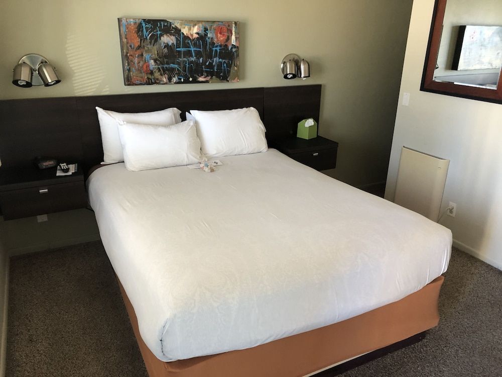 Deluxe Room, 1 Queen Bed (Patio View, Pet Friendly, Room 19)