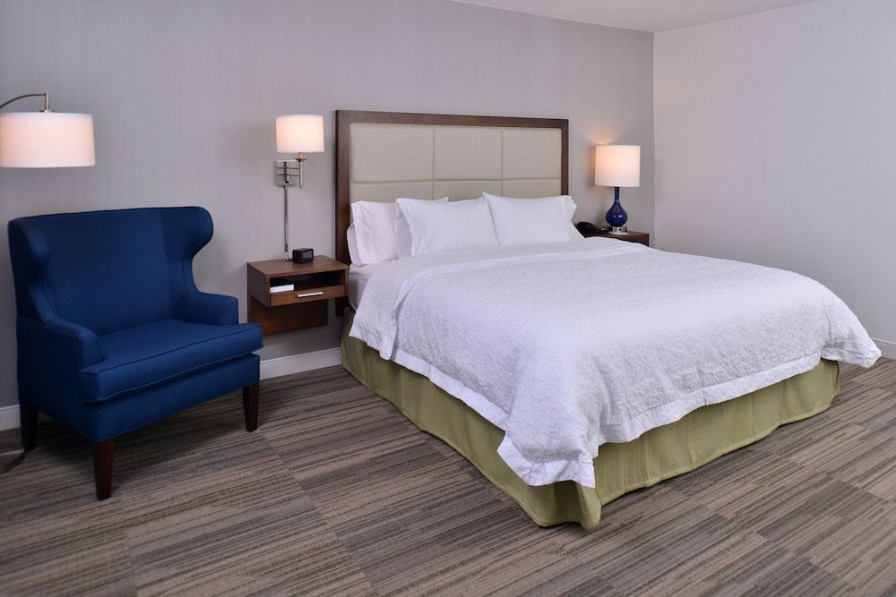 Room, 1 King Bed, Non Smoking, Refrigerator & Microwave