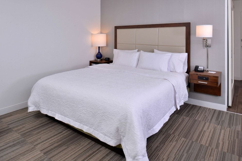 Room, 1 King Bed, Accessible, Non Smoking (Roll-in Shower)