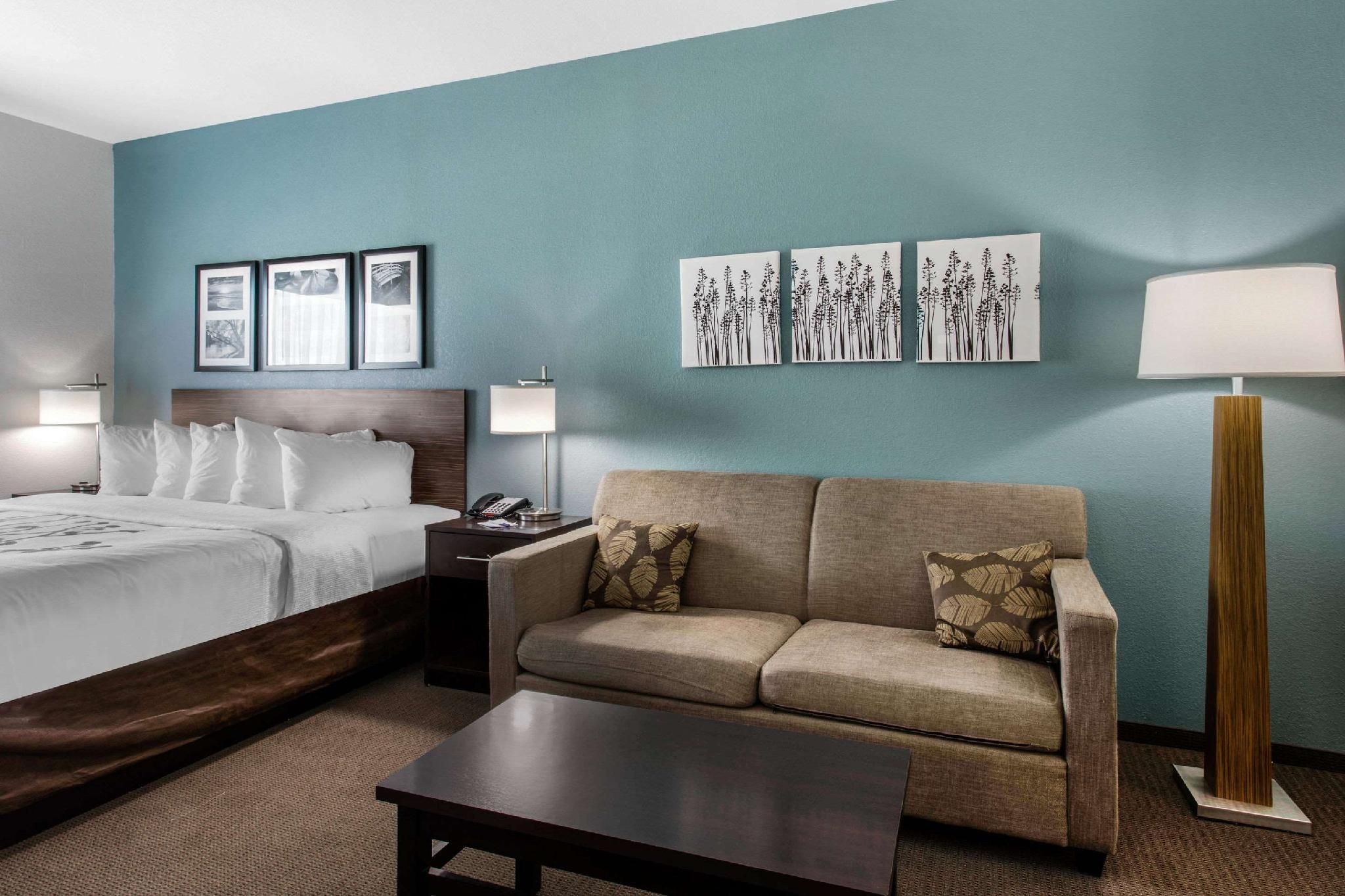 Sleep Inn Big Spring North I-20 1 King Bed, Suite, Nonsmoking