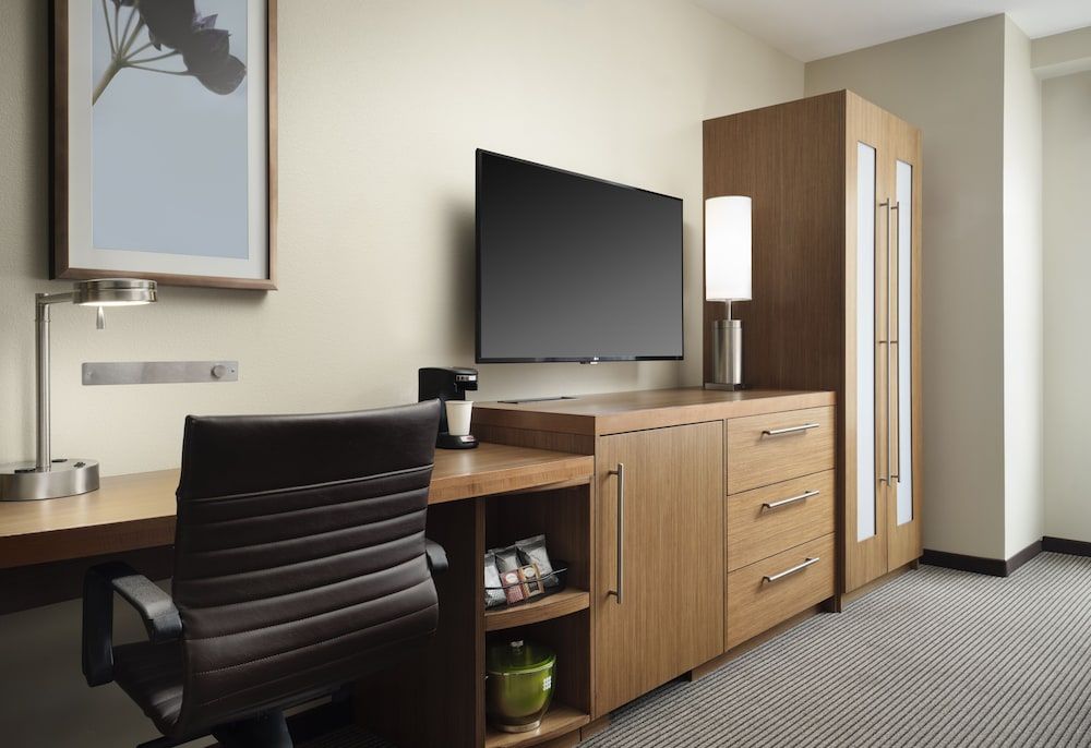 Hyatt Place Denver Downtown Room, 1 King Bed with Sofa bed 10