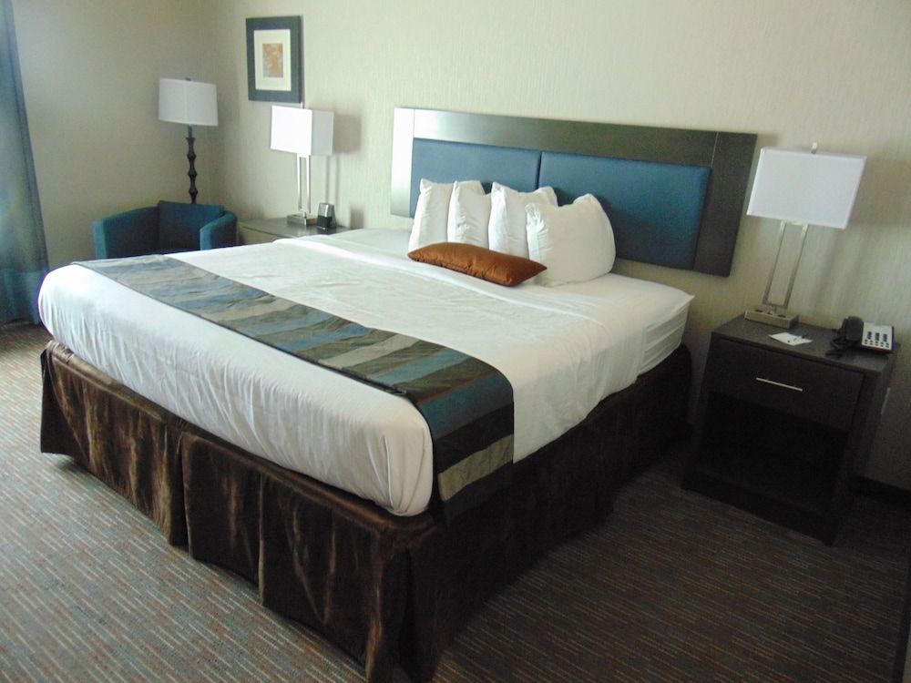 Room, 1 King Bed, Accessible, Non Smoking (Mobility,Hearing,Roll-In Shower)
