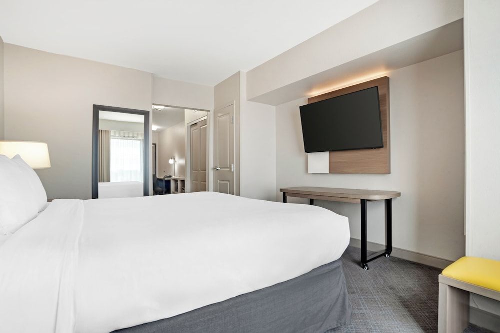 Suite, 1 King Bed with Sofa bed, Accessible, Non Smoking (Efficiency)