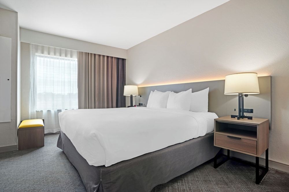 Suite, 1 King Bed with Sofa bed, Accessible, Non Smoking (Efficiency)